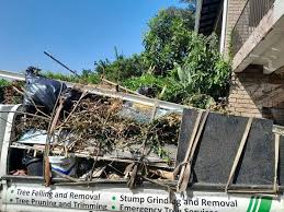 Best Carpet Removal and Disposal  in Northwood, IA